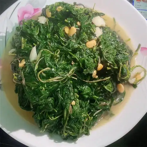 麻叶红麻潮汕潮阳特产蔬菜半成品精选新鲜特制叶菜类