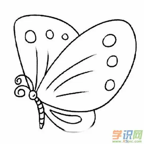 学识网 爱好 学画画 简笔画    蝴蝶翅膀上丰富多彩的图案令人赞叹不