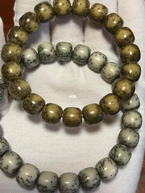 星月菩提四个月盘玩变化