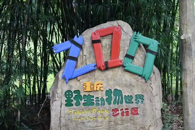 重庆游园记:火辣八月,主题乐园嗨翻一夏_野生动物园