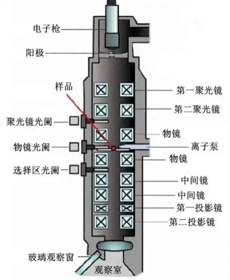 透射电子显微镜的原理_word文档在线阅读与下载_文档网
