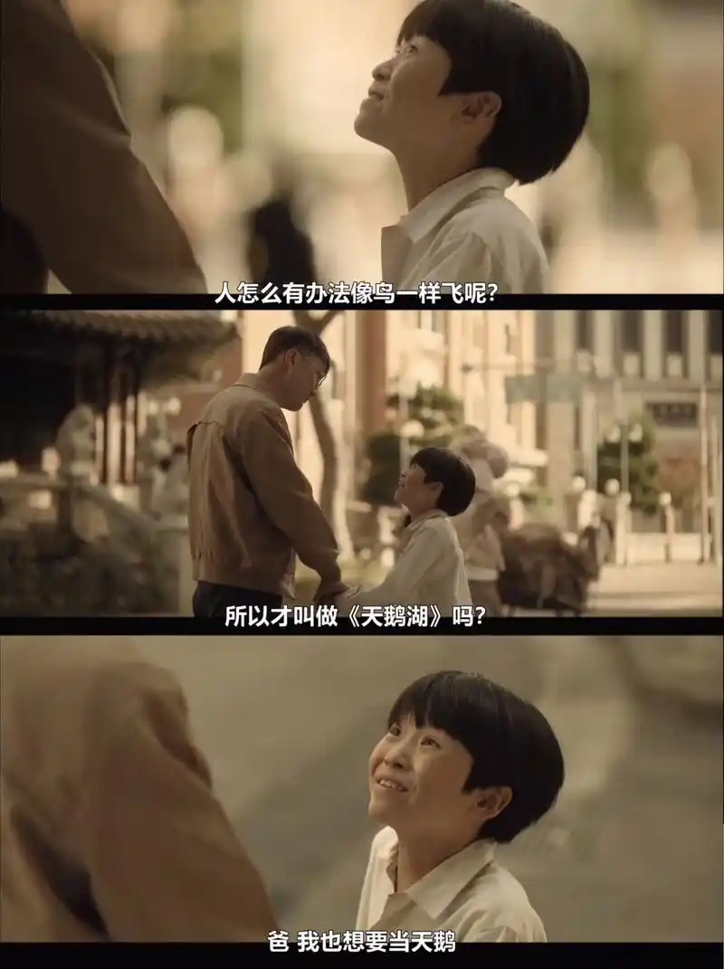 第一集就让人潸然泪下的《如蝶起舞》,究竟隐藏着何种魅力?