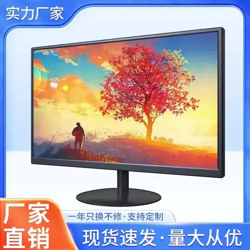 监控显示器蓝利浦21寸