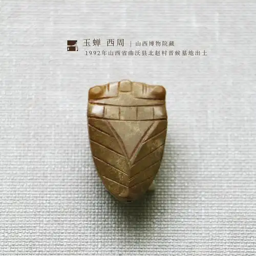 玉蝉 西周 | 山西博物院藏 | 1992年山西省曲沃县北赵村晋候墓地出土