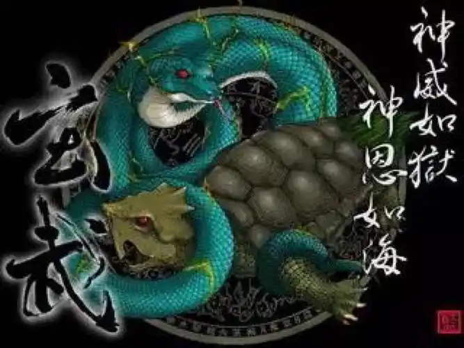 玄武 是一种由龟和蛇组合成的一种灵物.