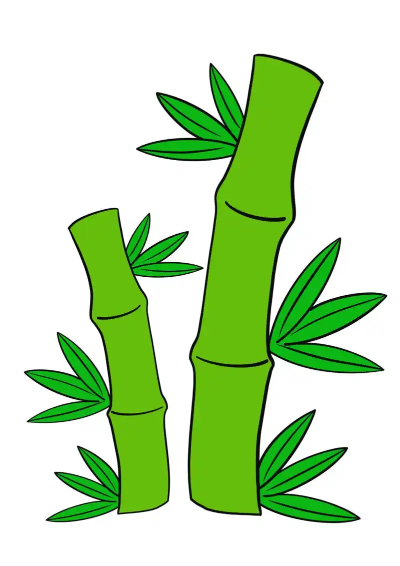 简笔画教程分享 竹子