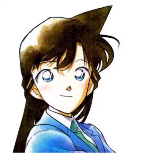 名侦探柯南毛利兰