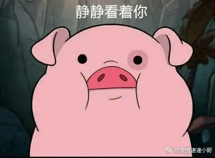 幽默搞笑段子表情包:这个摄影师的抓拍真别致