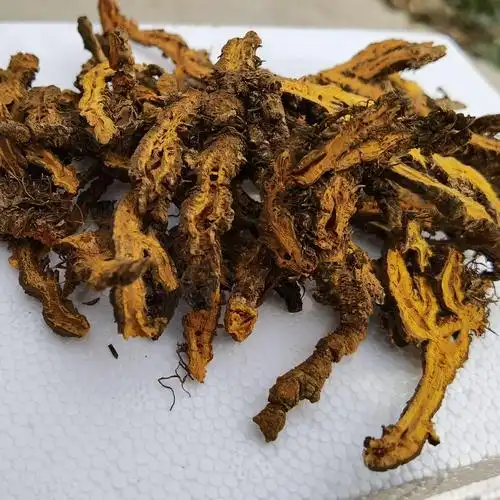 黄连 统片 新货 断面颜色黄 无须根 【良心经营 品种齐全】