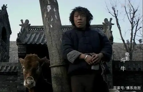 黄渤演技巅峰之黑色幽默《斗牛》
