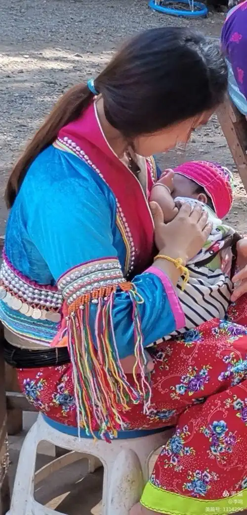 密林深处有个少数民族村,有部分长颈族,大耳族,阿卡族等少数民族村落