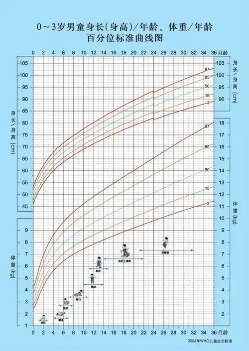 分别为3%,15%,50%,85%,97%;宝宝的生长曲线只要处于3%~97%之间并稳定
