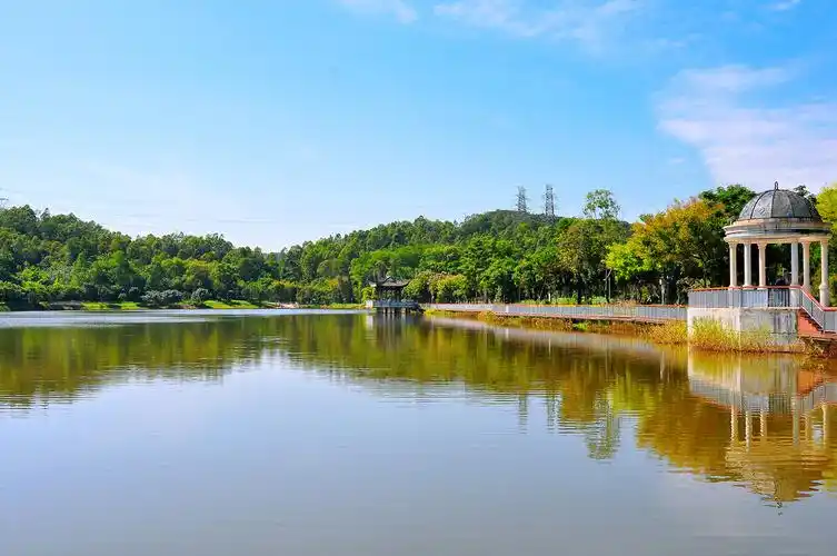 随拍深圳大运公园神仙湖