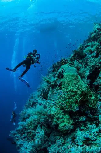 潜水员在印度尼西亚班达水下照片游泳照片-正版商用图片1hnj1j-摄图新