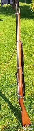 各种19世纪末期步枪鉴赏