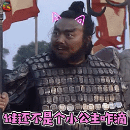 张飞gif谁还不是个小公主咋滴gif撒娇gif卖萌gif搞怪gifsoogifgifsoo