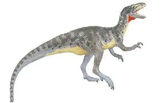 中国虚骨龙:四川小型食肉恐龙(长2.2米/1.45亿年前)