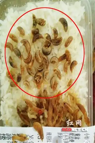 在订餐平台订购一碗虾竟吃出38条虫子,您遇到过吗?