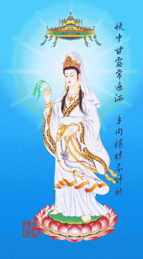 如来|观音菩萨_网易订阅