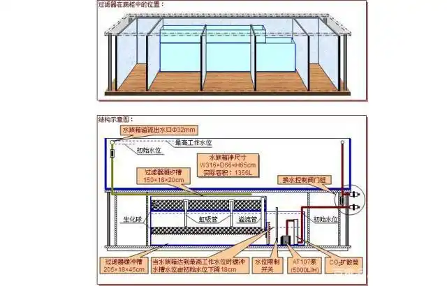过滤系统原来这么丰富——成品观赏鱼缸的过滤系统!