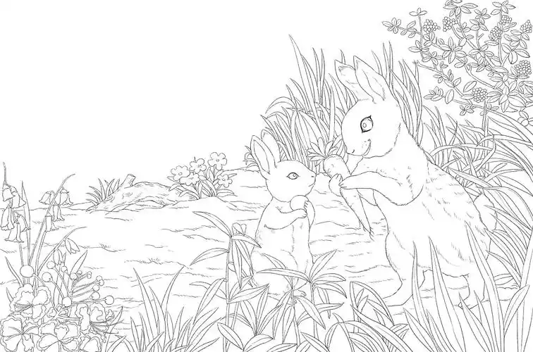兔子绘本插图线稿|插画|儿童插画|榕小洋 - 原创作品 - 站酷 (zcool)