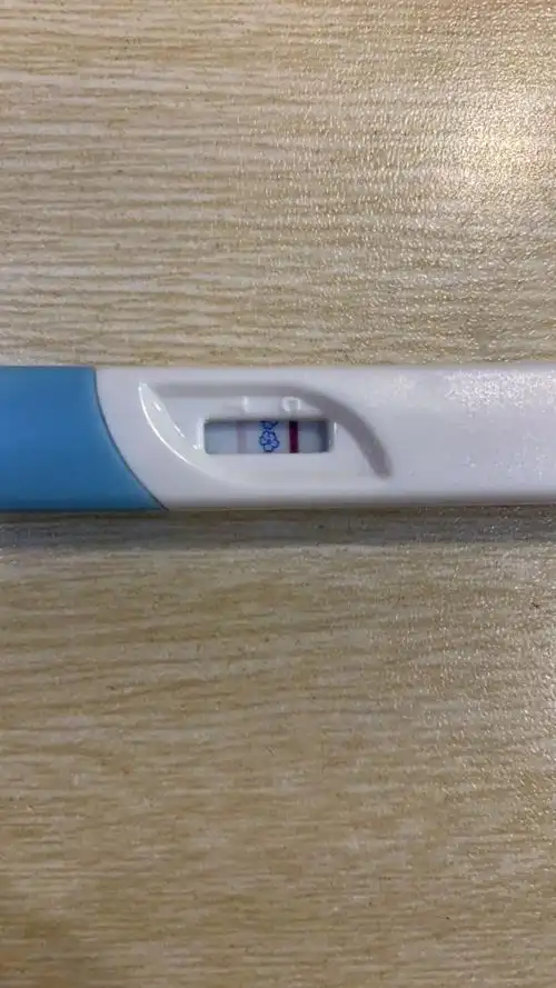 请孕友们看看这个算两道杠么刚刚验的 在线等 谢谢