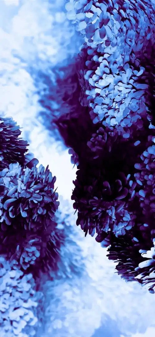 三星s20壁纸超级美