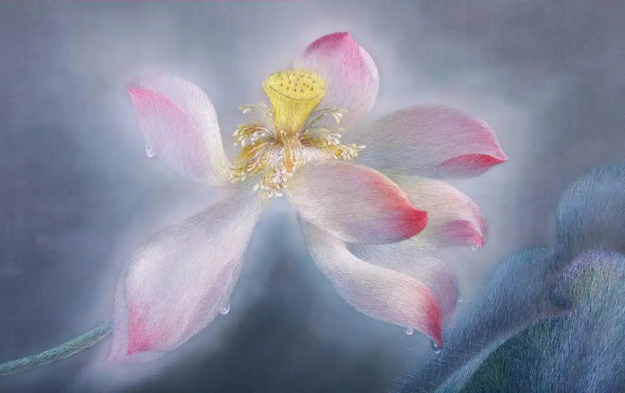 欣赏一下苏绣皇后姚建萍老师的作品《荷光掠影一》,妙运用光影, - 抖