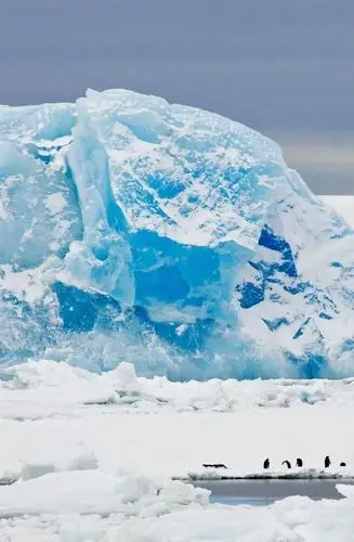冰山背景