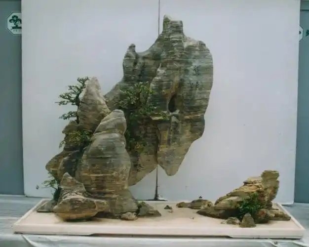 【引用】奇石盆景欣赏