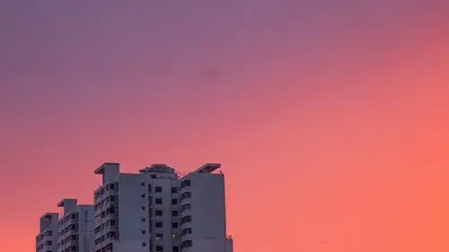 暴雨过后的夕阳是粉色的