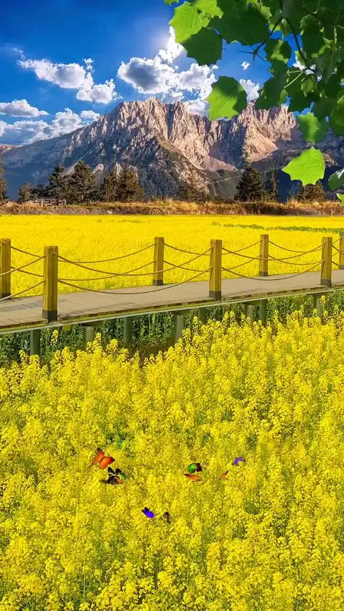 唯美意境 #治愈系风景