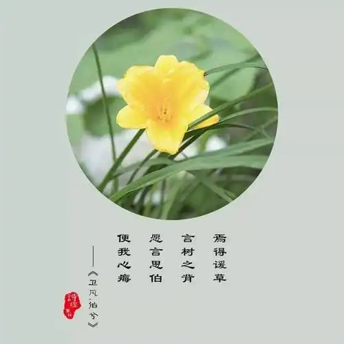 诗经东林 | 当诗经里的句子遇到东林的花草
