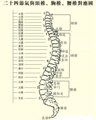 听说二十四节气与二十四段人体脊椎有关系