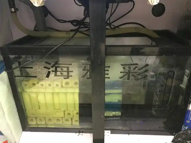 养鱼从头学请教鱼缸底滤滤材摆放是否正确
