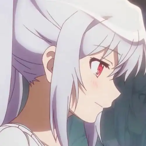 可塑性记忆艾拉