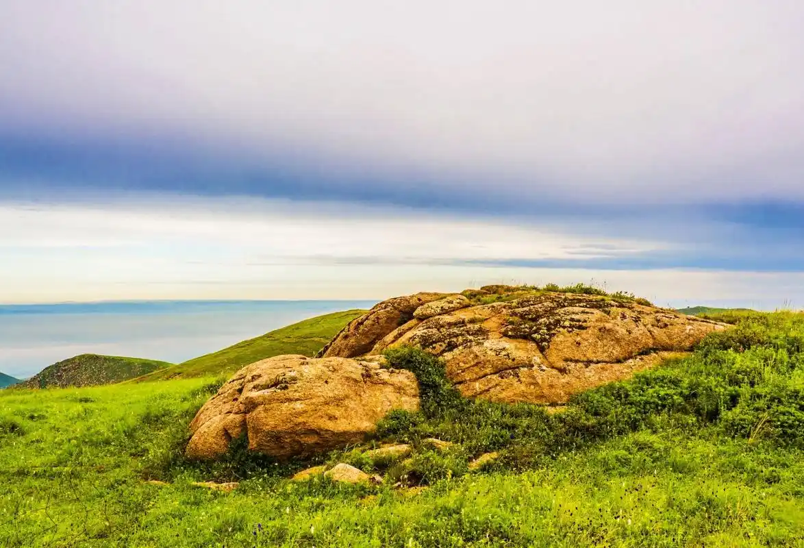 大青山国家森林公园