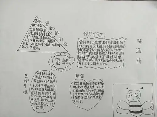 【电机子校】三年级学生学习昆虫备忘录一课作业展