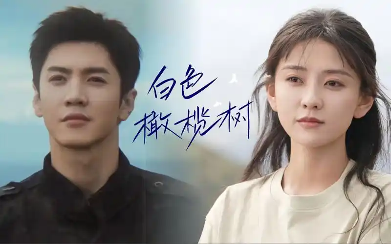 陈哲远,梁洁二搭现代剧《白色橄榄树》排爆尖兵和战地女记者之间刻骨