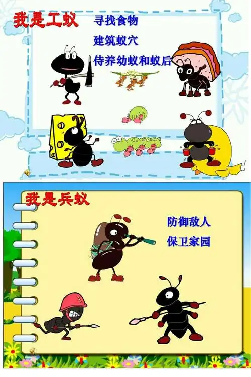 蚂蚁家族分工明确