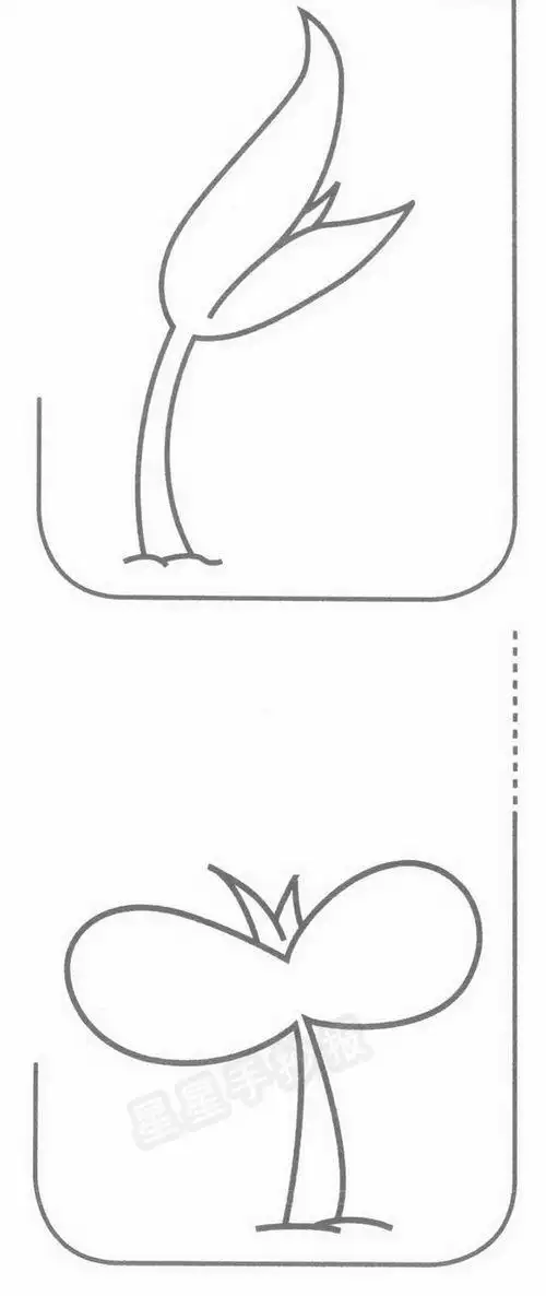 种子发芽简笔画怎么画