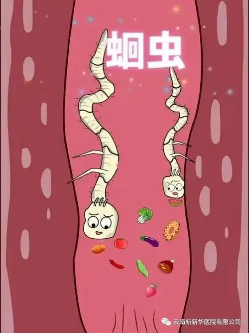 健康科普——蛔虫病_寄生虫病_地方病预防_疾控专题_科普专题_甘肃大