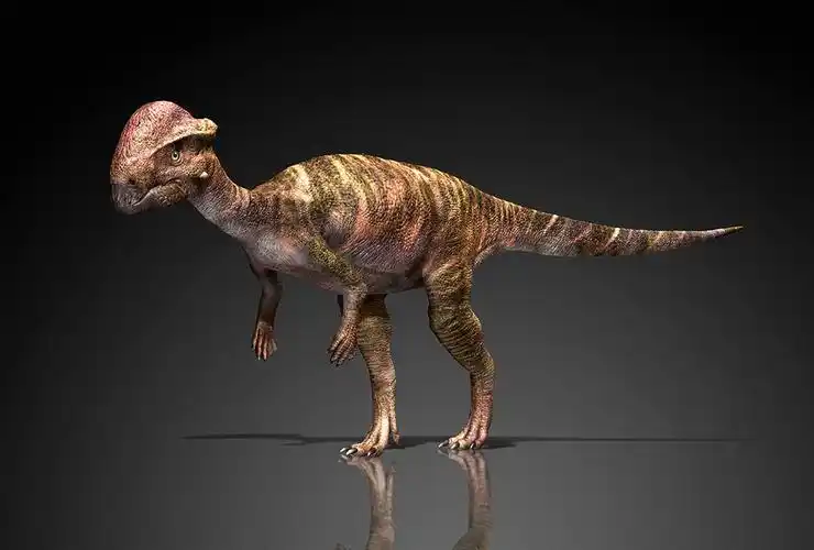 恐龙品类,恐龙图片大全,恐龙图库