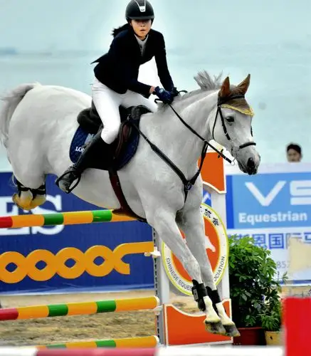 《优雅骑士》踏云追曰疾如风,雅逸身影轻飘腾; 雄心不减冠三军,莺歌