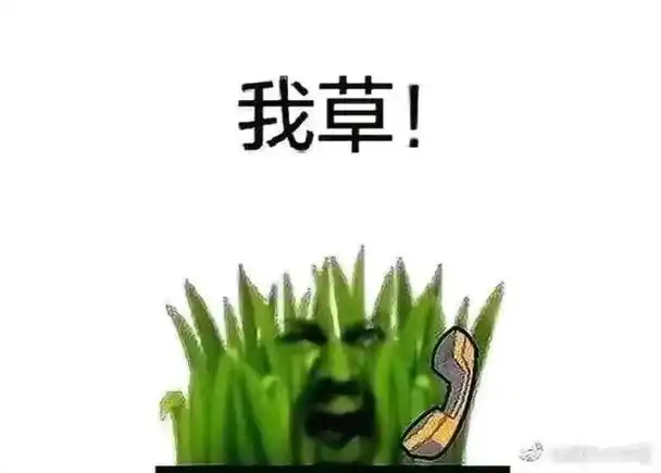 挨草表情包 - 挨草微信表情包 - 挨草qq表情包 - diy斗图 diydoutu.