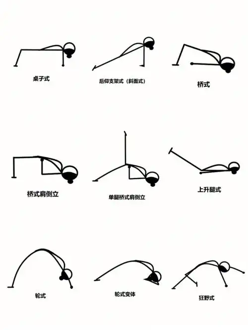 瑜伽小人图合集仰卧体式合集