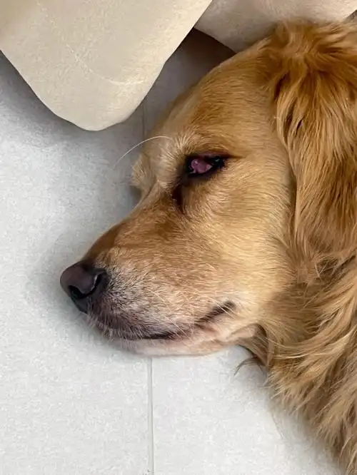 这也太吓人了吧