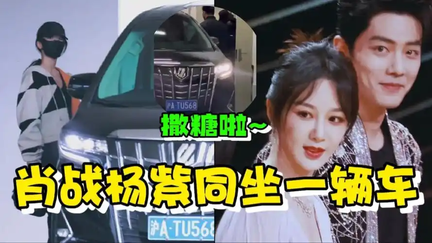 肖战杨紫同坐一辆车?注意商务车上的一细节,网友:我的cp成真了