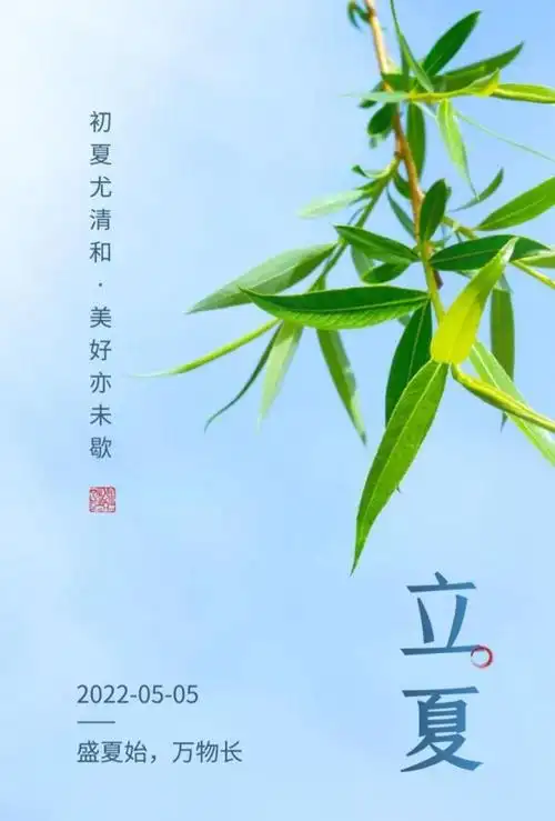 2022年最新:立夏节气文案和海报(图片无水印). - 知乎