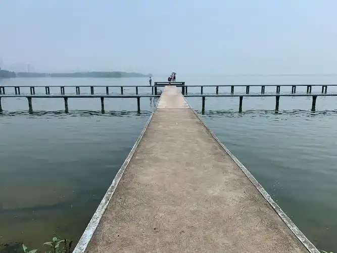 【游泳随记28】《超越自我,说明你还行》